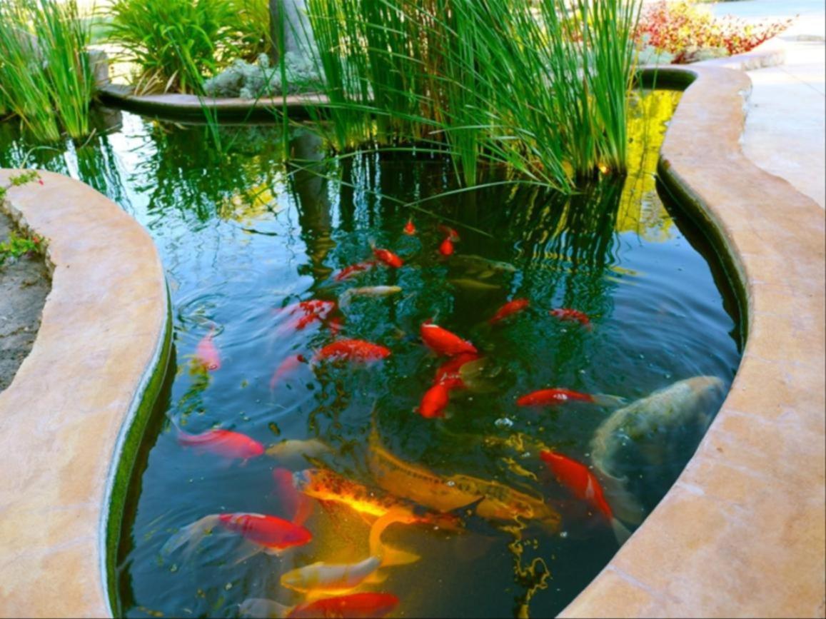 La Rochelle Lodge Namibia Tsumeb Dış mekan fotoğraf
