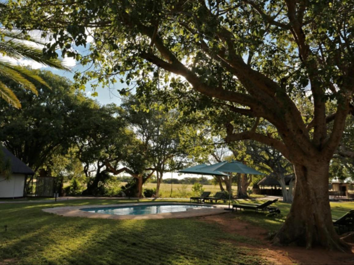 La Rochelle Lodge Namibia Tsumeb Dış mekan fotoğraf